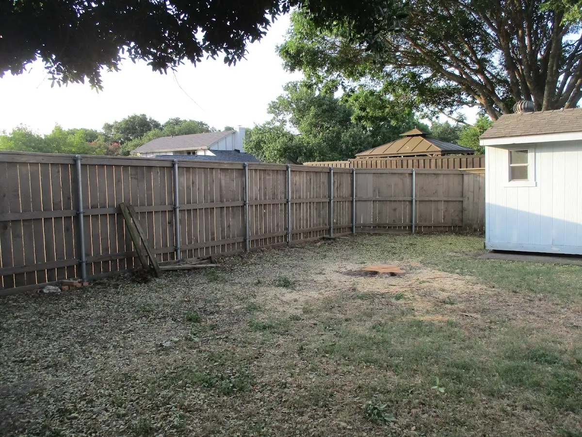 Cleared yard after professional tree removal in Hepzibah